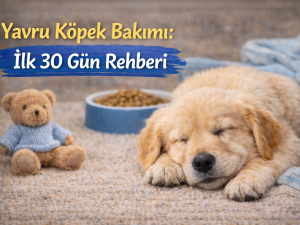 Yavru Köpek Bakımı: İlk 30 Gün Rehberi